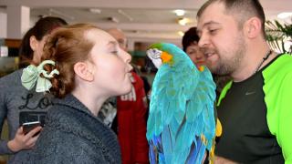 Дети с ограниченными возможностями посетили контактный зоопарк в Невинномысске
