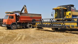 Собрано 6,8 миллиона тонн: ставропольское зерно пошло на экспорт