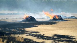 Поджоги полей уничтожили тысячи гектаров зерна на Ставрополье