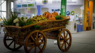 Ставропольский край стал участником Российской агропромышленной выставки