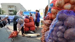 В 2011 году в Ставрополе увеличится число мест для торговли плодоовощной продукцией