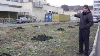 Неравнодушный житель Невинномысска высадил 100 деревьев