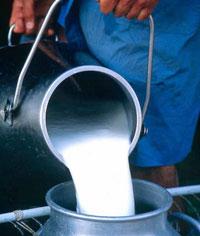 Импортные молочные продукты сбивают цены отечественных производителей