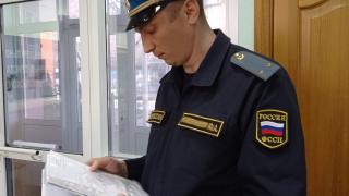 Житель Грачевки нанес урон лесному хозяйству Подмосковья на 445 тысяч рублей
