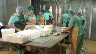 Роспотребнадзор проверил на Ставрополье предприятия мясного производства