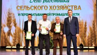 В Будённовске чествовали работников сельского хозяйства и перерабатывающей промышленности