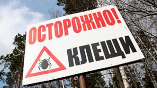 На Ставрополье отмечена активизация иксодовых клещей