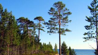 Национальный парк «Онежское Поморье» будет создан в Архангельской области