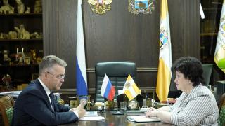 Владимир Владимиров провёл рабочую встречу с министром культуры Ставропольского края