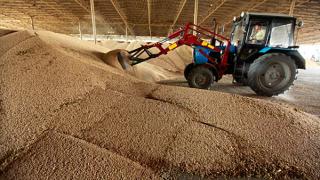 Новый рекорд ипатовских хлеборобов – 610,5 тыс. тонн зерна