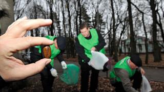 176 гектаров леса варварски вырублены предпринимателями в Ставрополе