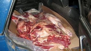 10 уголовных дел по фактам торговли зараженным бруцеллезом мясом возбуждено в Туркменском районе