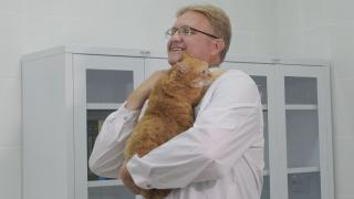 В Ставрополе теперь возможно диагностирование и лечение заболеваний животных