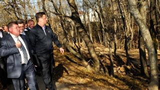 Взамен вырубленных в Мамайском лесу Ставрополя деревьев власти обещают посадить новые