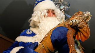 Дед Мороз доволен готовностью Ставрополя к Новому году