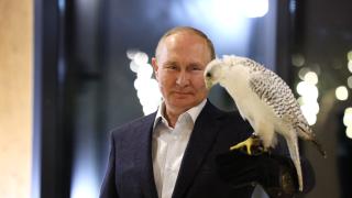 Владимир Путин встретился с участниками Всероссийского молодежного экологического форума