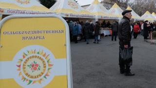 На «Новогоднем базаре» в Ставрополе было реализовано продуктов питания на 3 млн рублей
