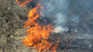 В хуторе Веселом Ипатовского района сгорели корма для животных