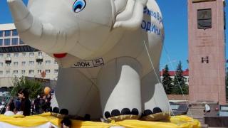 Проект «Ставрополье – родина слонов» стал лучшим в СКФО на фестивале «Диво России»