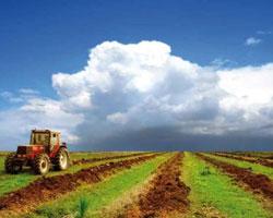 Минсельхоз России пообещал ставропольским фермерам поддержку