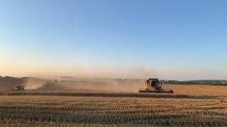 Аграрии Предгорного округа собрали урожай зерна на 33 процента больше прошлогоднего