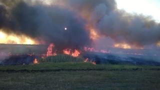 300 возгораний сухостоя зарегистрировано на Ставрополье
