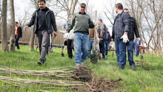 Депутаты и сотрудники краевой Думы высадили более 300 деревьев в Ставрополе