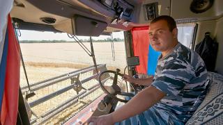 На Ставрополье собрали 5 млн тонн зерна, обмолочено 80 процентов посевной площади