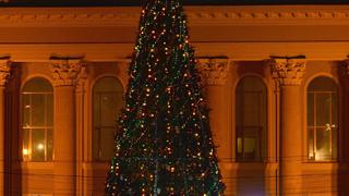 Жители и гости Ставрополя смогут встретить Новый год у главной елки города