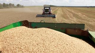 Первый миллион тонн зерна собрали в Ставропольском крае