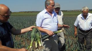 Ставропольские журналисты посетили предприятия овощеводства и плодоводства