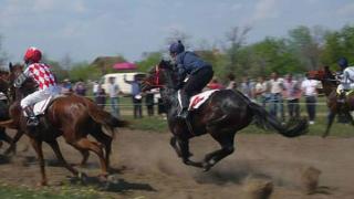 Конноспортивные состязания собрали 90 скакунов в селе Новоселицком