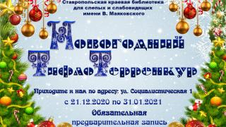 Ставропольцам предлагают пройти новогодний тифлотерренкур