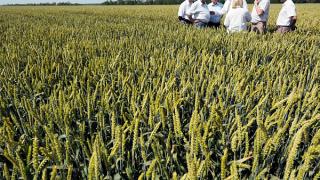 Губернатор Владимиров: Ставропольская земля может давать 10 миллионов тонн зерна