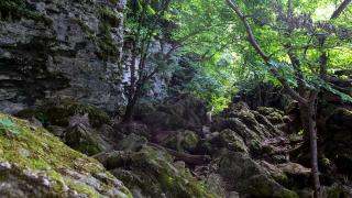Открытие туристического сезона на экотропе в ставропольском заказнике «Стрижамент» переносится