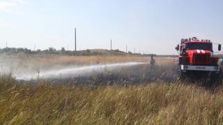 5 гектаров пшеницы уничтожил пожар на Ставрополье
