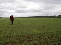 Обработку полей от саранчи и других вредителей начали в Ставропольском крае
