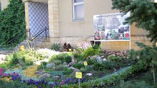 Ставропольский Ботанический сад оказался в центре налогового скандала