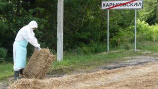Ящуру ставят заслон в Кочубеевском районе Ставрополья