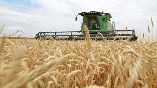 Аграрии Ставрополья собрали более 5 млн тонн зерна