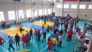 В селе Александровском прошел открытый турнир по борьбе самбо