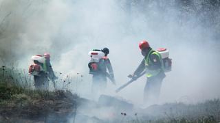 В 10 лесхозах Ставрополья организованы лесные пожарные станции сезонного действия