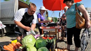 На Ставрополье начата подготовка к краевой акции «Овощи к подъезду»