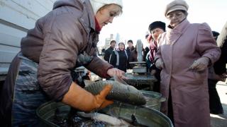 Ставрополье вошло в пятерку ведущих регионов страны по добыче рыбы