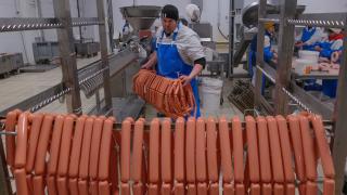 Новоалександровский мясокомбинат взял курс на импортозамещение