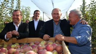 Президенту Путину подарили саженцы для Подмосковья