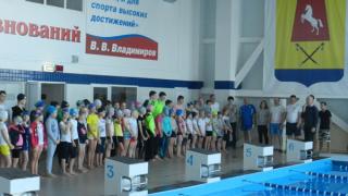 Соревнования по плаванию среди школьников в Александровском районе