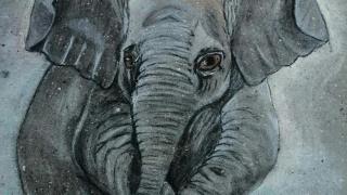 На Ставрополье завершилась акция «Рисуем слона»