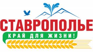 С итогами кампании по подготовке школ Ставрополья к новому учебному году ознакомились журналисты