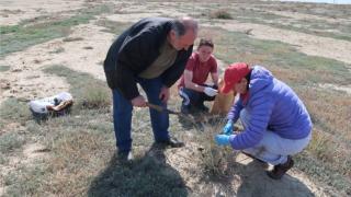 Ученые изучили степные экосистемы на засоленных почвах Ставрополья